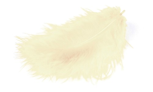 Meyco marabu piume - piume, crema