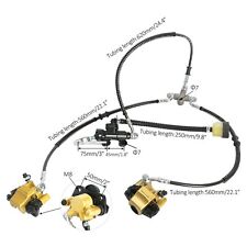 Gruppo Pinza Freno Anteriore