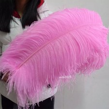 Ingrosso 10/50/100 pezzi piume