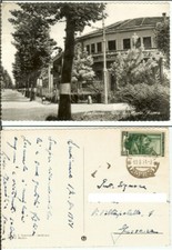 Lendinara (Rovigo): Via S. Maria Nuova. Cart. FG b/n cartonato opaco vg 1951