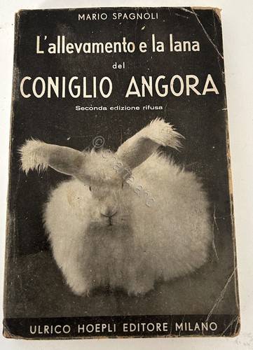 Spagnoli allevamento e la - spagnoli,