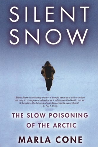 Silent snow the slow - silent,