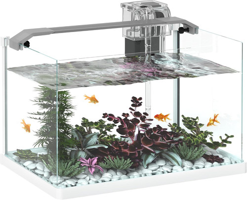 Acquario per pesci - per, rossi