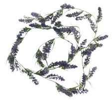 Ghirlanda lavanda 120 - lavanda, cm