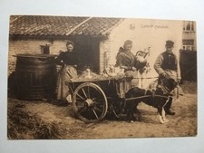 Belgium - Flemish Dairy -