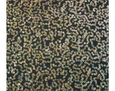 Lusso Paillettes Abbigliamento