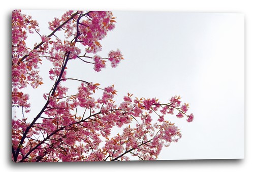 Tela cornice ritratto fiore - di,