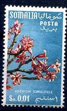 SOMALIA AFIS 1956 - FIORI
