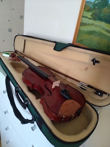 Violino stentor student - stentor,