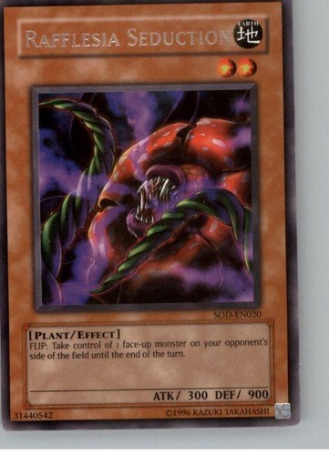 Rafflesia seduction - rafflesia,