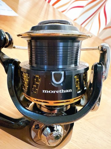 Mulinello spinning daiwa - daiwa, 14