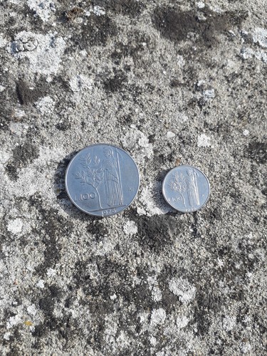 Lotto monete moneta 100 - monete, lire
