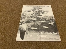 JBF57 ADVERT 11X8 KASHIAN CYMBALS