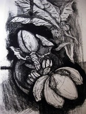 " VALERIA VECCHIA "    ACQUAFORTE INCISIONE   "BANANO " prezzo piu basso del web