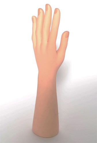 Mano espositore guanto carne - guanto,