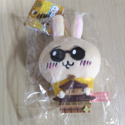 Mascotte locale chiwawa - mascotte,