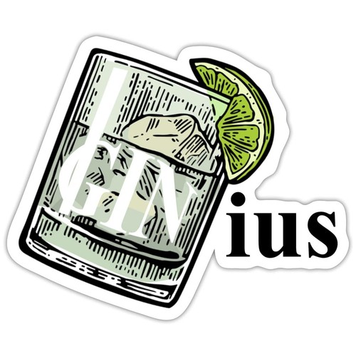 Ginius gin tonic cocktail - ginius, idea