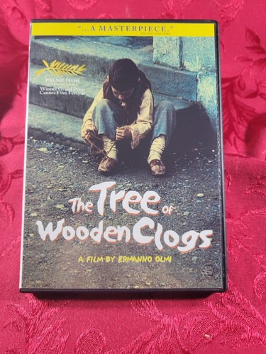 Tree wooden clogs - of,