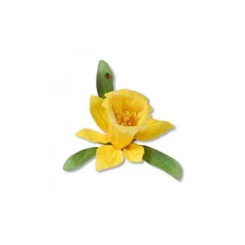 Fustelle Big Shot Sizzix