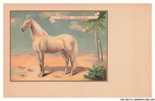 CAR-AEZP11-0539-MAROCCO -