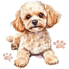 2 adesivi barboncino nano