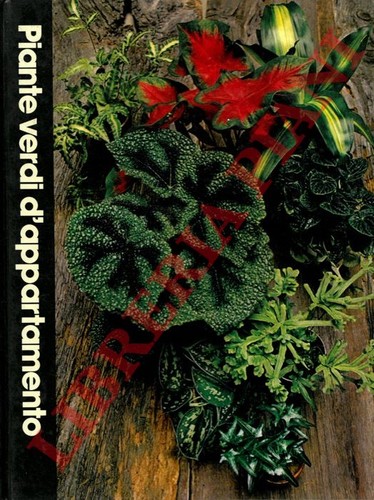 Giardinaggio floricoltura - -,