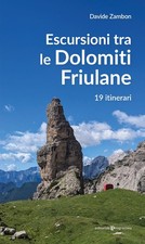 Libri Zambon Davide -
