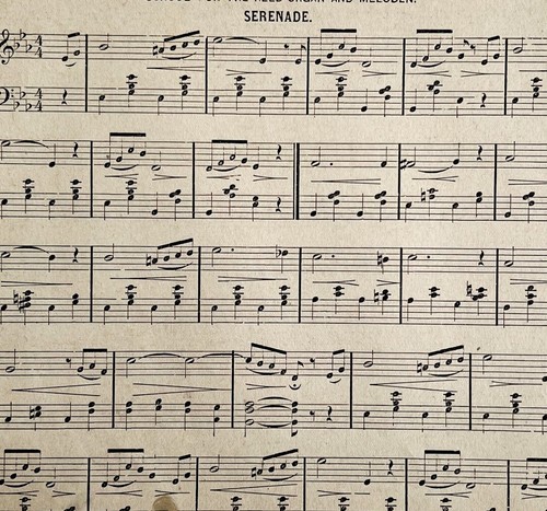 1875 serenata vittoriana - 1875,