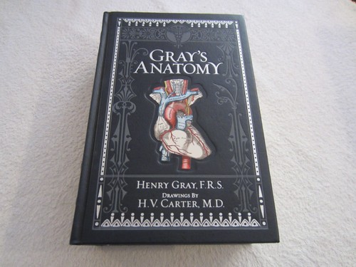 Gray anatomy henry - gray's,