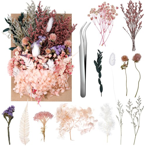 Fiori veri secchi - fiori, secchi,