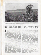 IL BOSCO DEL CANSIGLIO