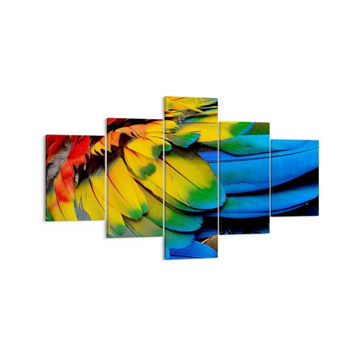 Quadro tela 125x70cm piuma - quadro,