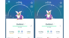 🐧Shiny Delibird (Botogel
