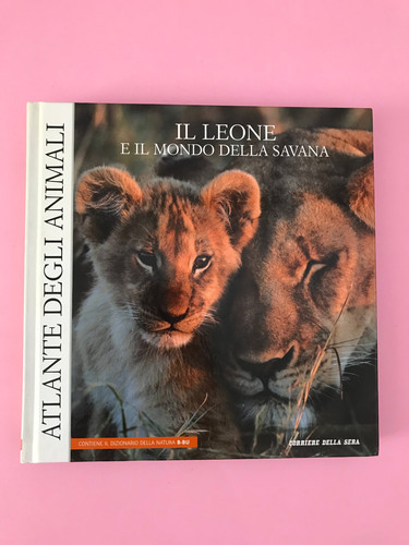 Leone mondo della - e,