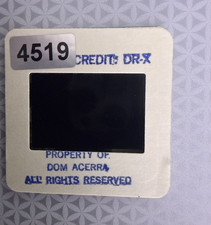 C4519 - JENNA JAMESON & LISA