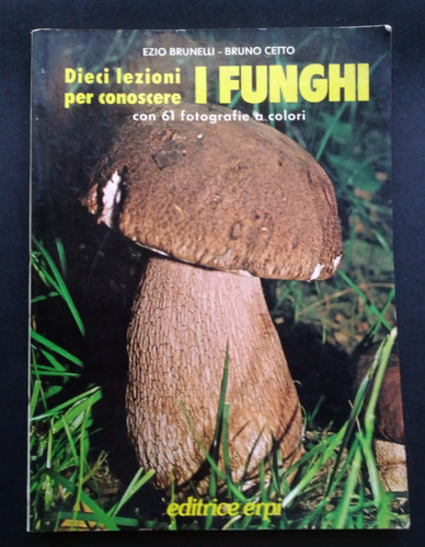 Micologo dilettante 10 - micologo,