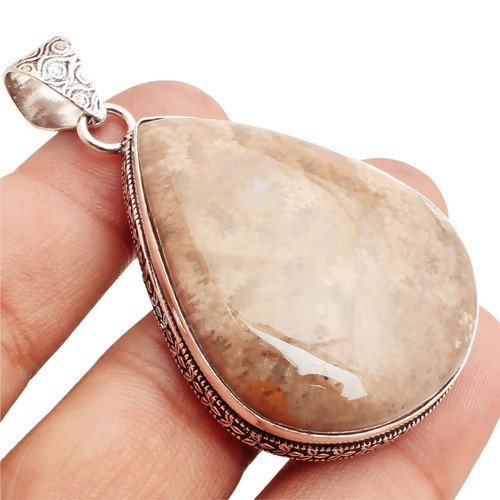Fossil corallo gemma placcato - gemma,