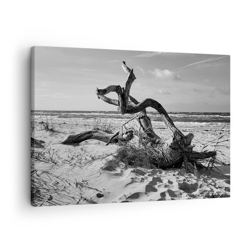 Quadro tela 70x50cm - tela,
