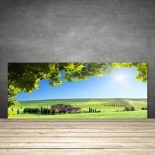 Paraschizzi Retrofornelli Cucina 125x50 Campo Foglie Paesaggio Decorazione