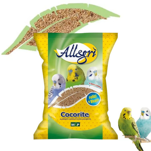 Allegrì miscela semi cocorite - allegrÌ,