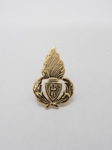 Polizia penitenziaria spilla - :,