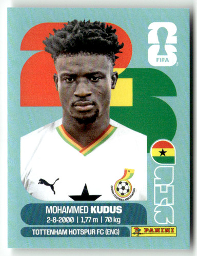 Panini world cup 2026 - panini,