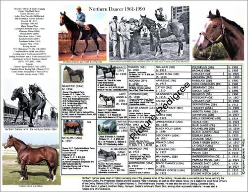 Pedigree quadro corse - , di