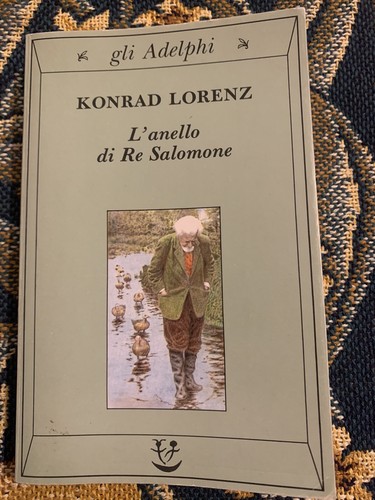 Anello re salomone - di,