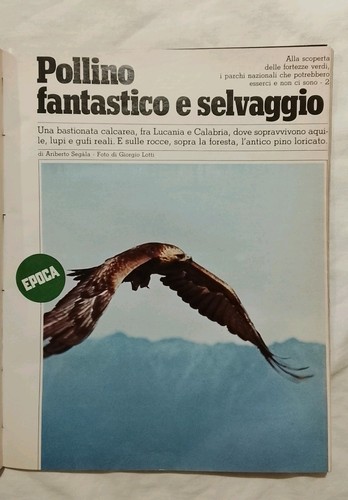 Parco pollino serra dolcedorme - pollino,