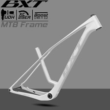 Telaio MTB hardtail carbonio