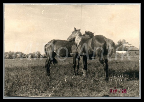 Foto ww2 abstg 27 - foto,, ob.abstg.