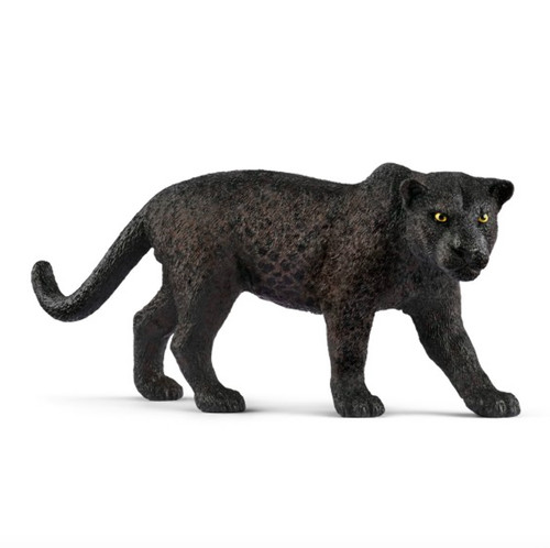 Pantera nera - pantera,