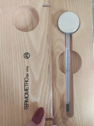 Termometro vino argento 925 - argento,