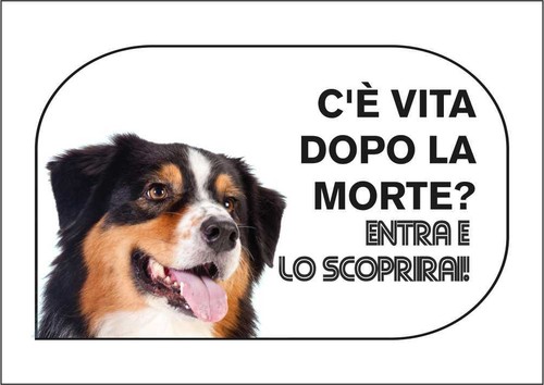 Cartello segnaletico bovaro - segnaletico,